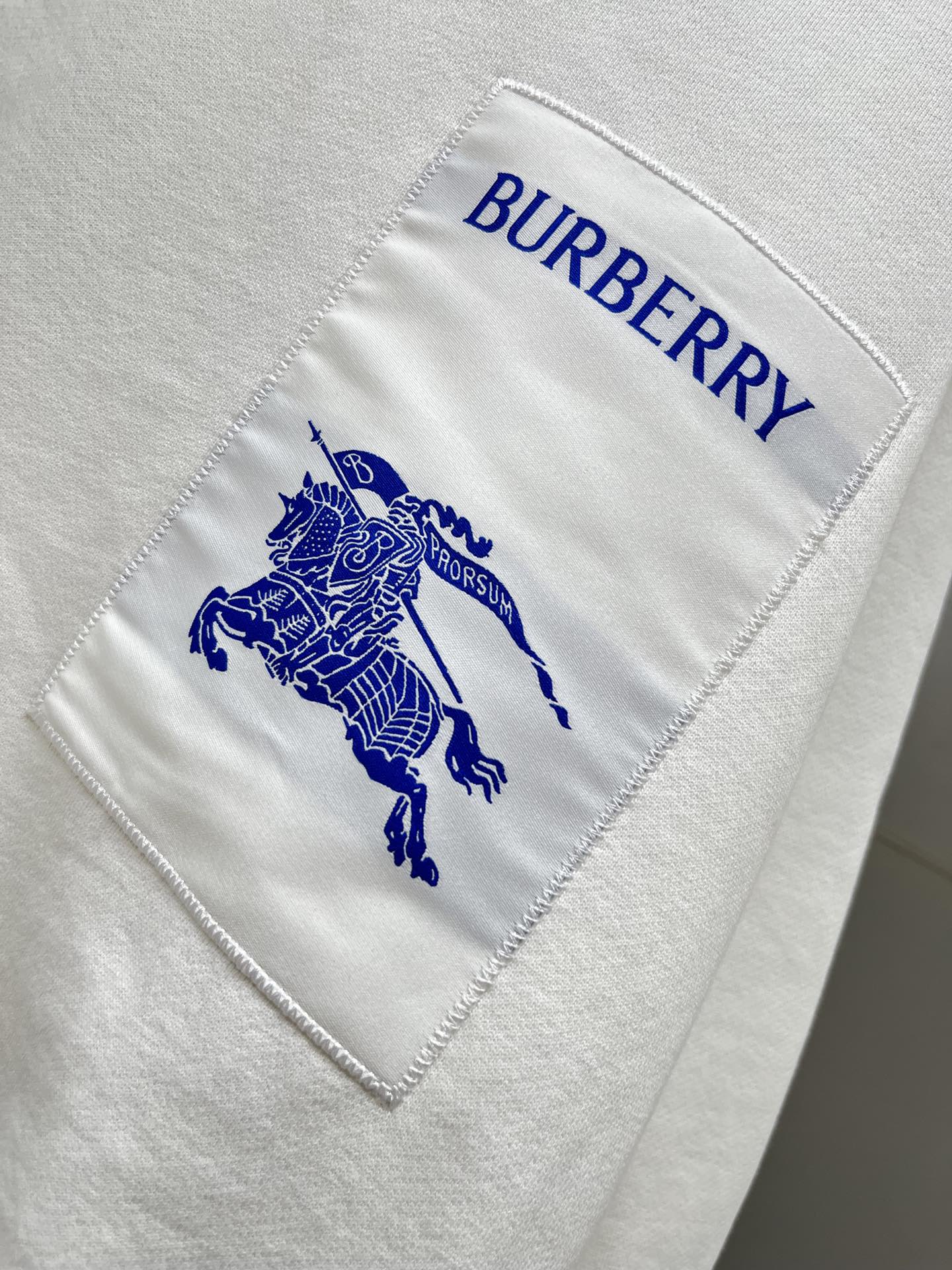 Burberry Hoodies